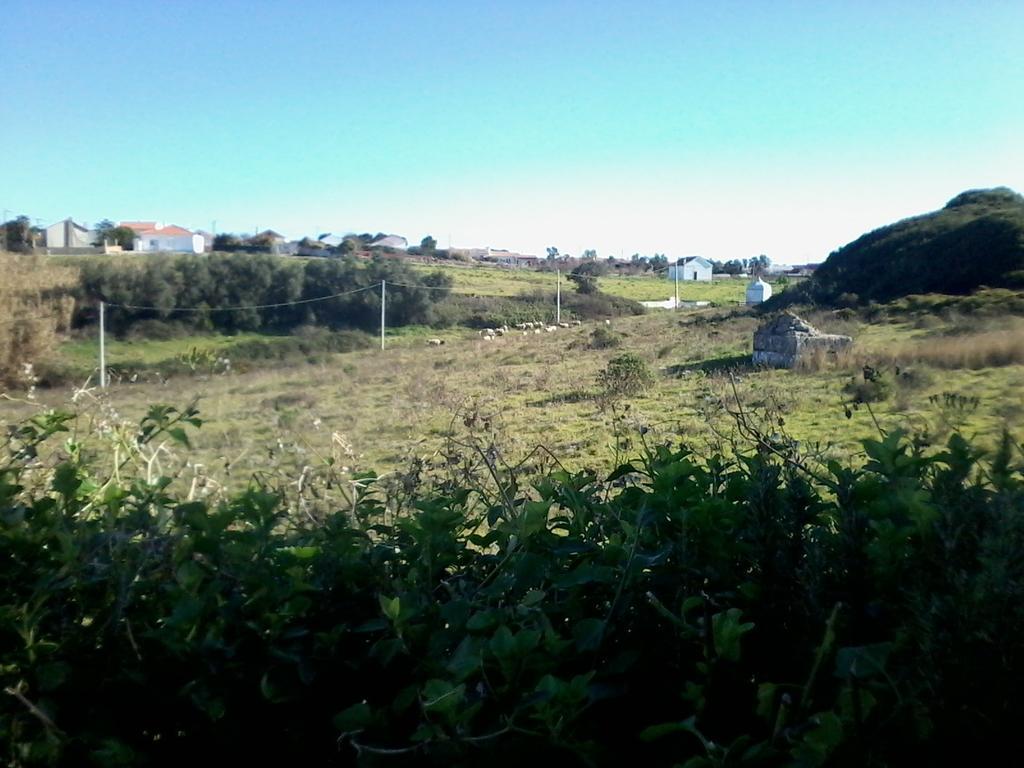 Cozy Country House Near Beaches Azoia  Buitenkant foto