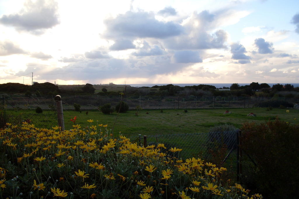 Cozy Country House Near Beaches Azoia  Buitenkant foto